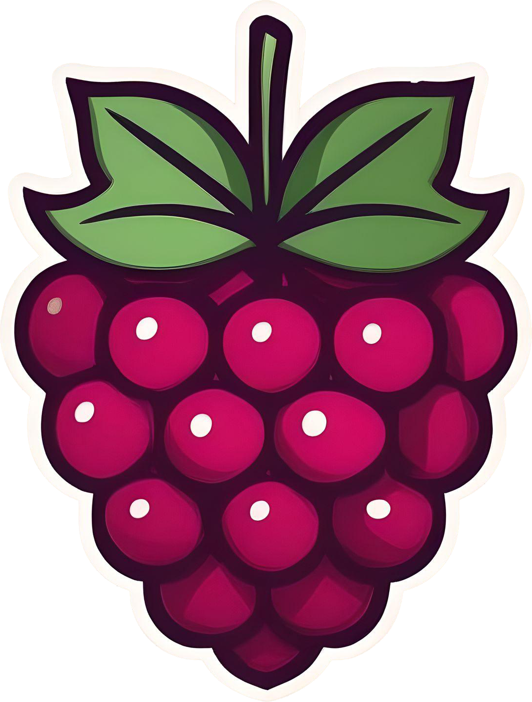 Raspberry